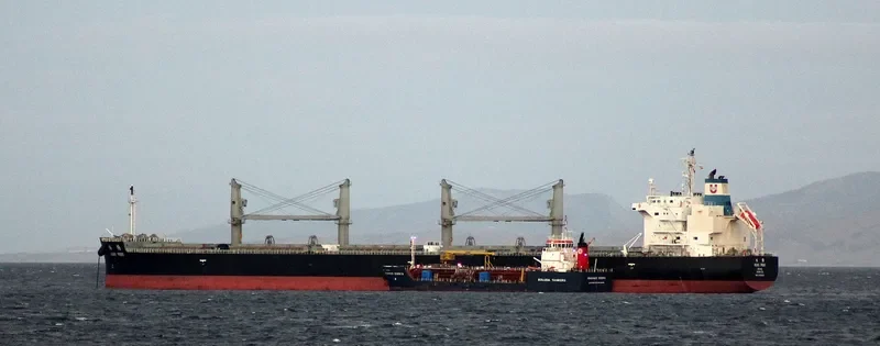 ASIAN PRIDE Bulk Carrier IMO 9725029 photo 4