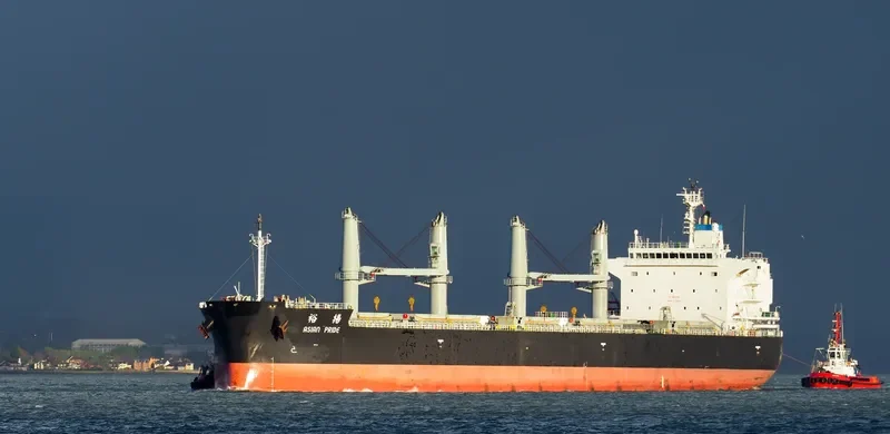 ASIAN PRIDE Bulk Carrier IMO 9725029 photo 5