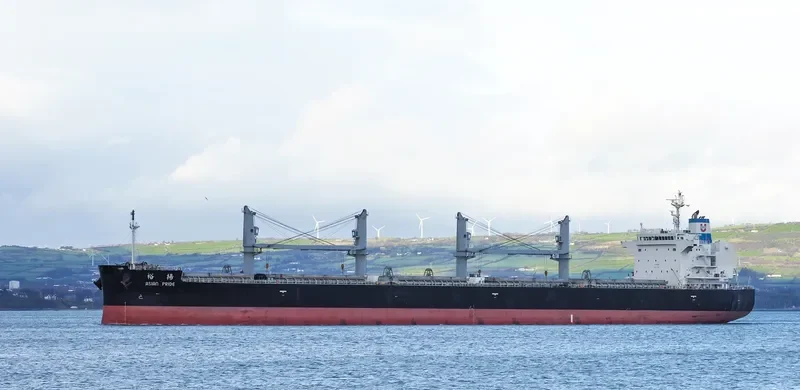 ASIAN PRIDE Bulk Carrier IMO 9725029 photo 6