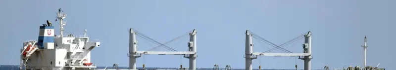 ASIAN PRIDE Bulk Carrier IMO 9725029 photo 8