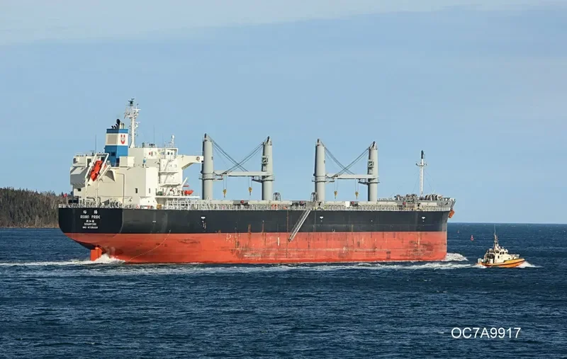 ASIAN PRIDE Bulk Carrier IMO 9725029 photo 9
