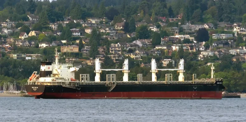 XING ZUN HAI Bulk Carrier IMO 9725380