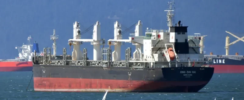 XING ZUN HAI Bulk Carrier IMO 9725380 photo 2