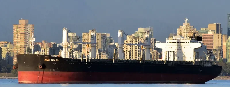 XING ZUN HAI Bulk Carrier IMO 9725380 photo 3
