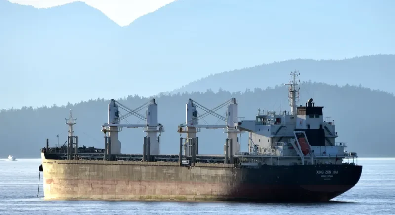XING ZUN HAI Bulk Carrier IMO 9725380 photo 4