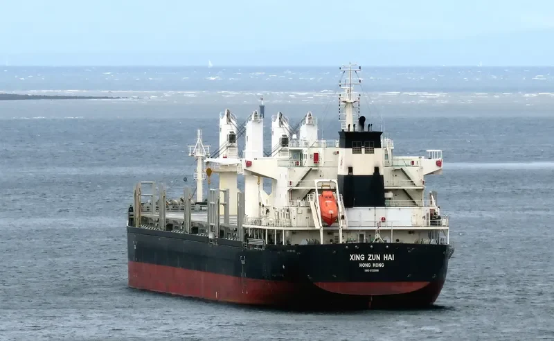 XING ZUN HAI Bulk Carrier IMO 9725380 photo 6