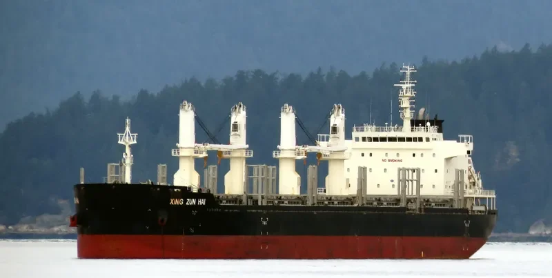 XING ZUN HAI Bulk Carrier IMO 9725380 photo 9