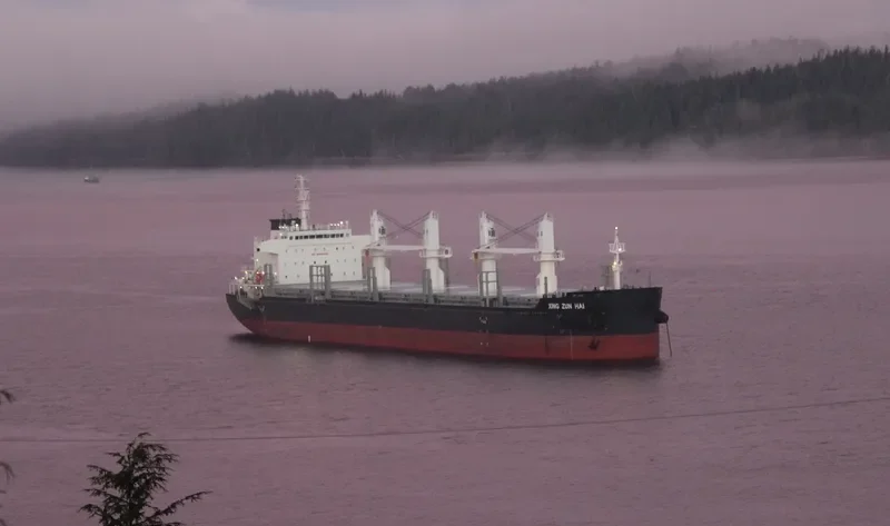 XING ZUN HAI Bulk Carrier IMO 9725380 photo 10