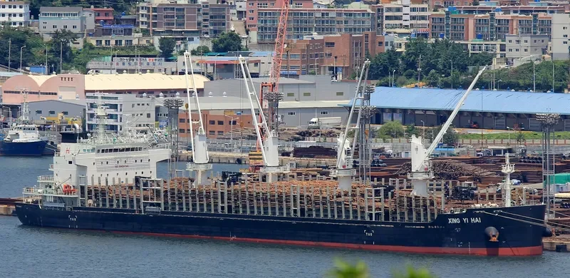 XING YI HAI Bulk Carrier IMO 9725419