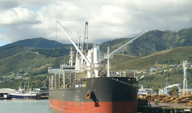 XING YI HAI Bulk Carrier IMO 9725419 photo 3