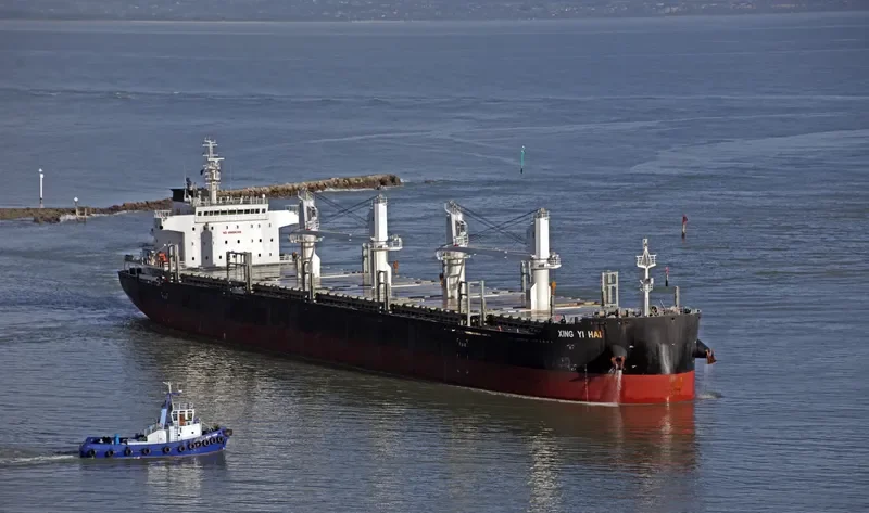 XING YI HAI Bulk Carrier IMO 9725419 photo 5