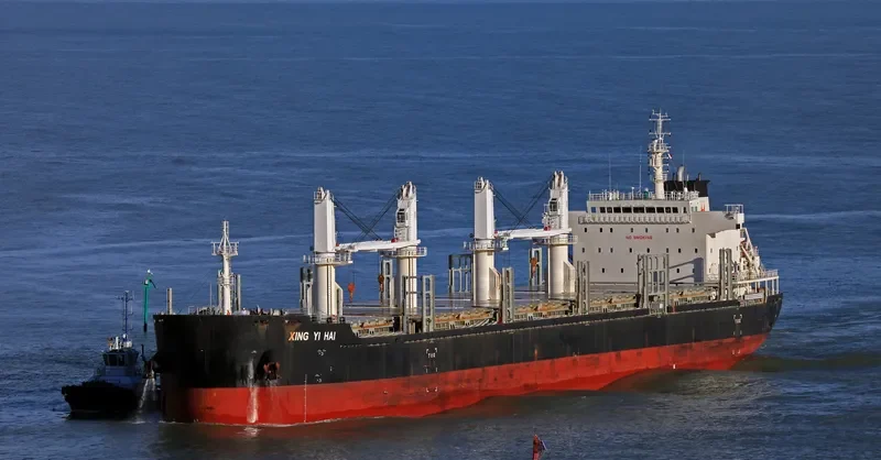 XING YI HAI Bulk Carrier IMO 9725419 photo 7