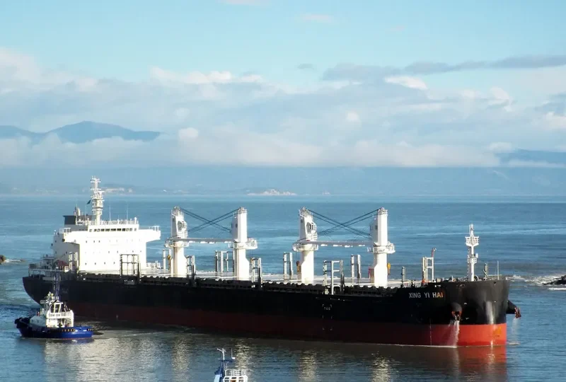 XING YI HAI Bulk Carrier IMO 9725419 photo 10