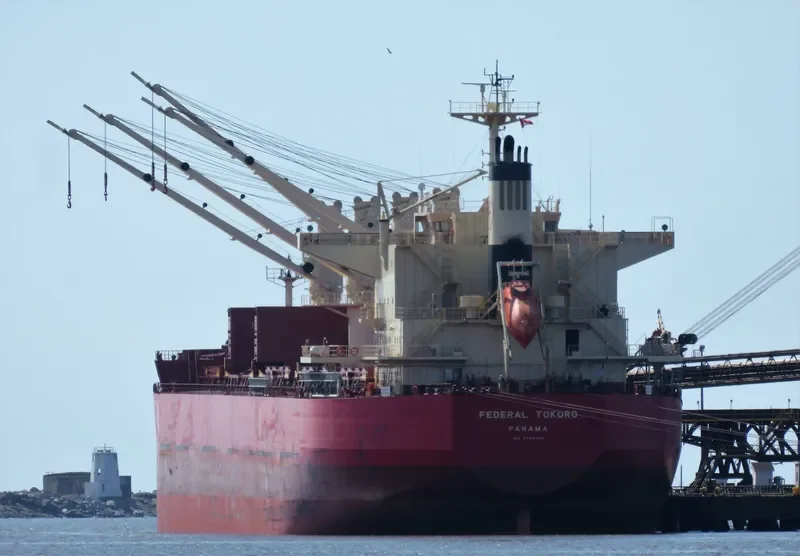 FEDERAL TOKORO Bulk Carrier IMO 9725445