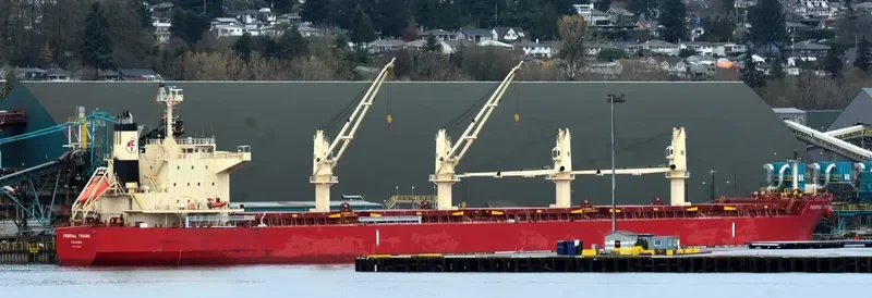 FEDERAL TOKORO Bulk Carrier IMO 9725445 photo 3