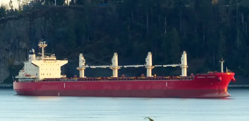 FEDERAL TOKORO Bulk Carrier IMO 9725445 photo 4