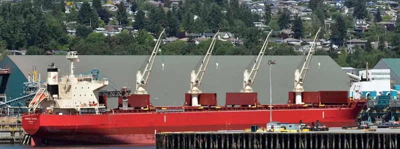 FEDERAL TOKORO Bulk Carrier IMO 9725445 photo 5