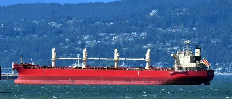 FEDERAL TOKORO Bulk Carrier IMO 9725445 photo 6