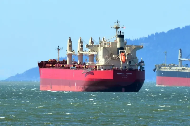 FEDERAL TOKORO Bulk Carrier IMO 9725445 photo 7