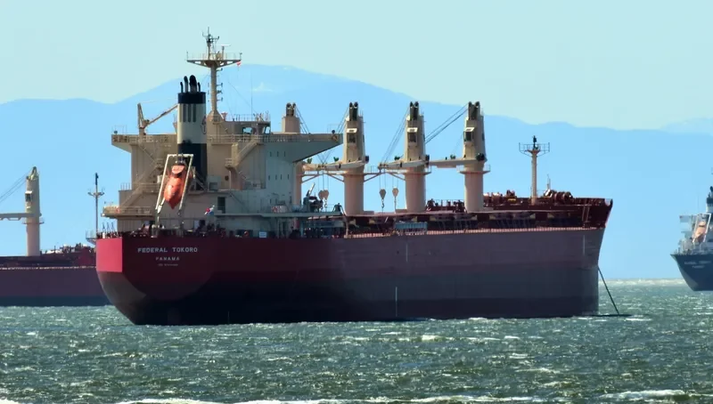FEDERAL TOKORO Bulk Carrier IMO 9725445 photo 8