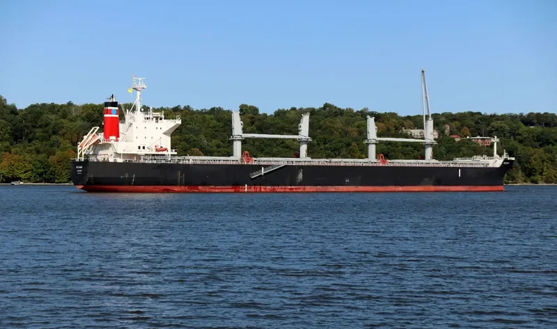 ELBABE Bulk Carrier IMO 9725471