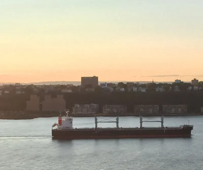ELBABE Bulk Carrier IMO 9725471 photo 2