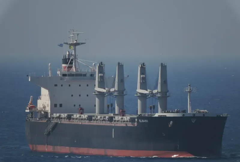ELBABE Bulk Carrier IMO 9725471 photo 3