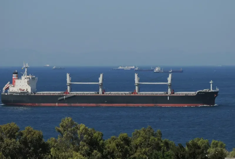 ELBABE Bulk Carrier IMO 9725471 photo 4