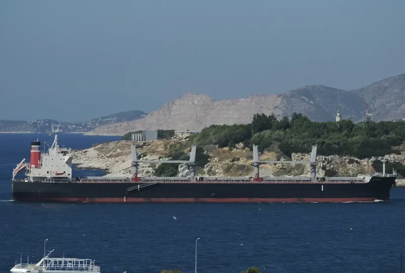 ELBABE Bulk Carrier IMO 9725471 photo 5