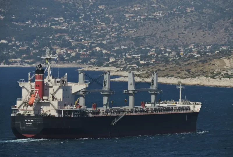 ELBABE Bulk Carrier IMO 9725471 photo 6