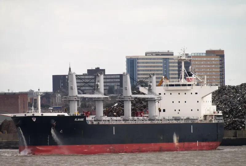ELBABE Bulk Carrier IMO 9725471 photo 7