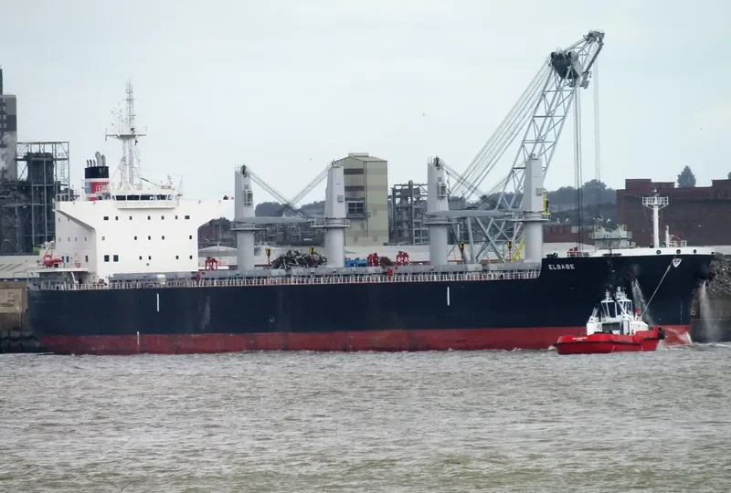 ELBABE Bulk Carrier IMO 9725471 photo 8