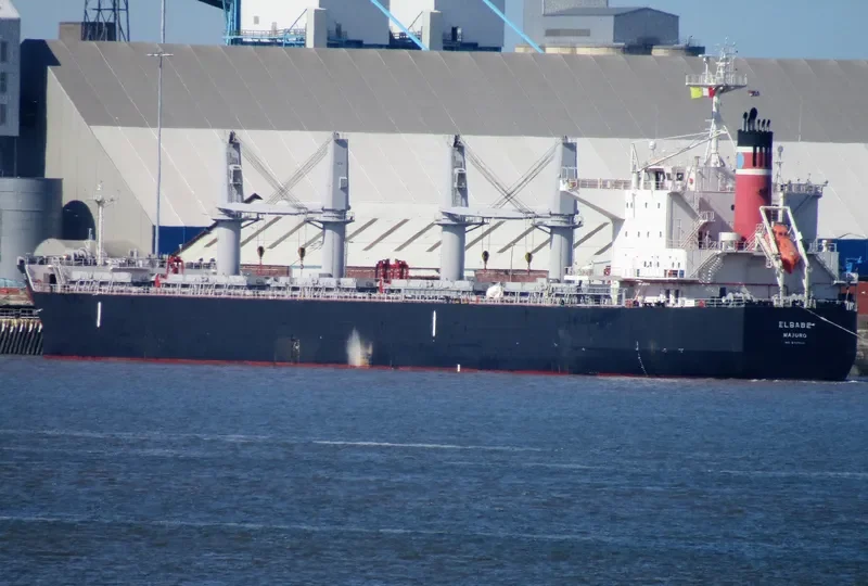 ELBABE Bulk Carrier IMO 9725471 photo 9