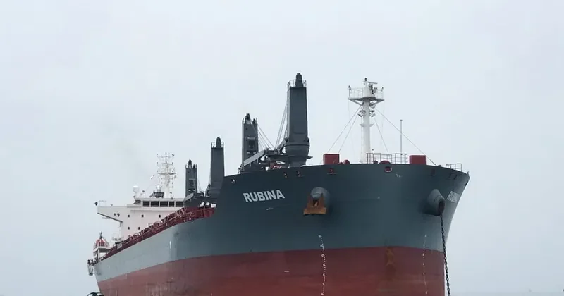 RUBINA Bulk Carrier IMO 9725512