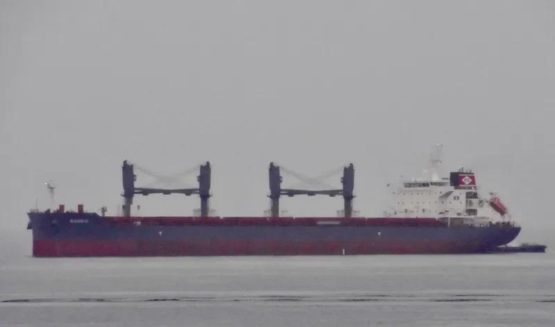 RABEA Bulk Carrier IMO 9725524