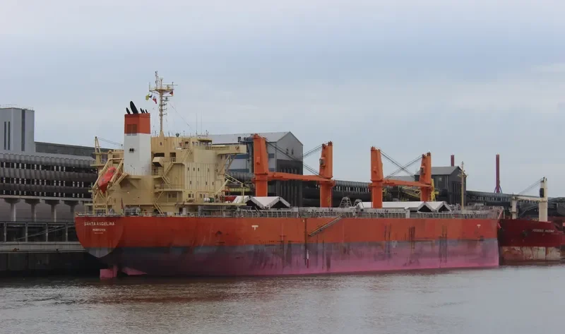 SANTA ANGELINA Bulk Carrier IMO 9725548 photo 2