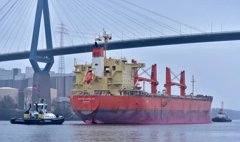 SANTA ANGELINA Bulk Carrier IMO 9725548 photo 4