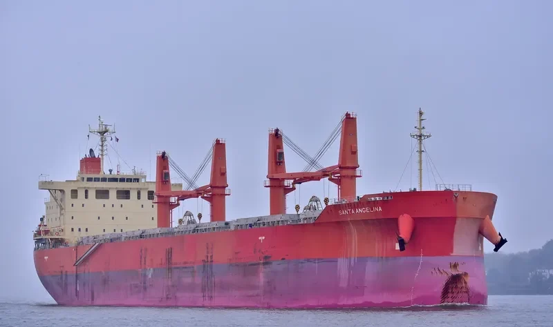 SANTA ANGELINA Bulk Carrier IMO 9725548 photo 5