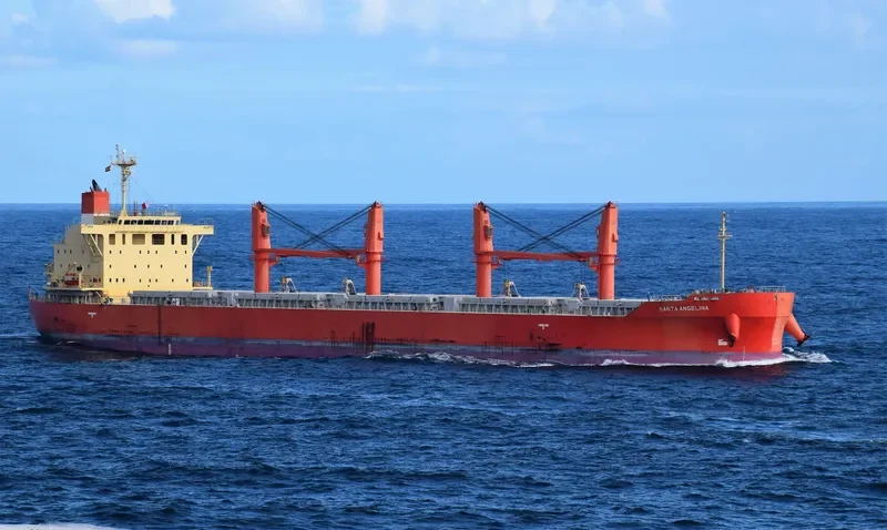 SANTA ANGELINA Bulk Carrier IMO 9725548 photo 9
