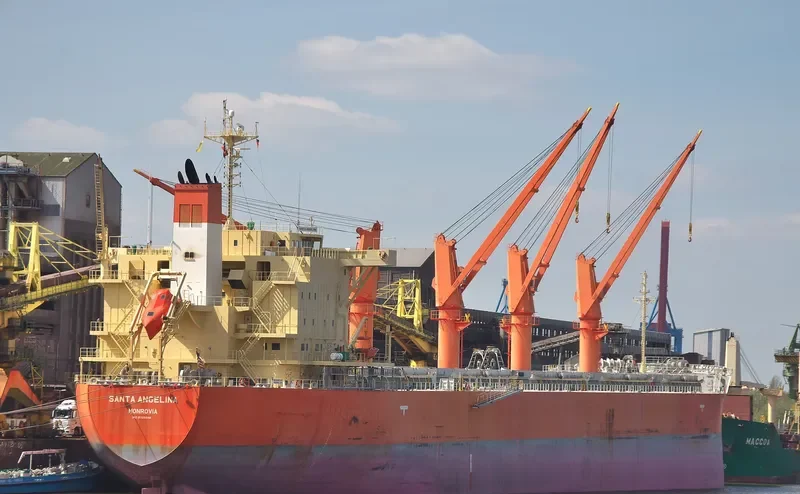 SANTA ANGELINA Bulk Carrier IMO 9725548 photo 10