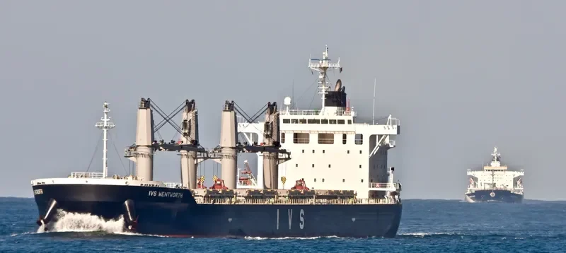 IVS WENTWORTH Bulk Carrier IMO 9725550 photo 6