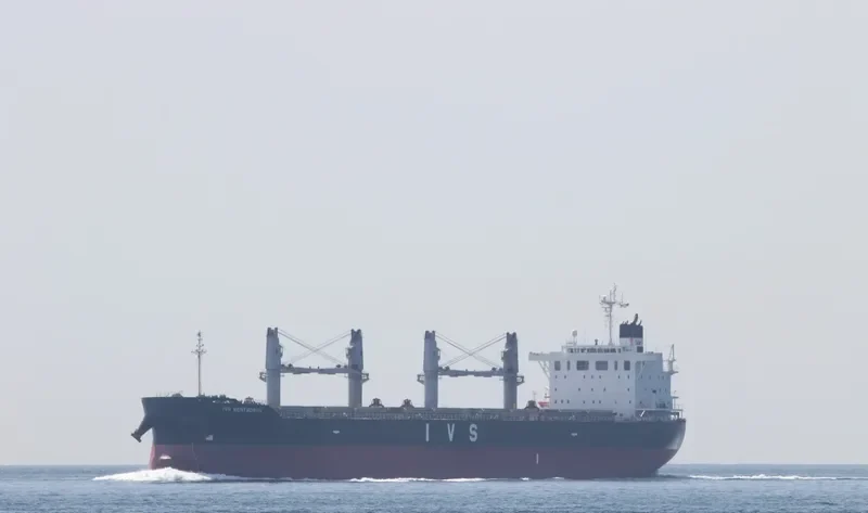 IVS WENTWORTH Bulk Carrier IMO 9725550 photo 9