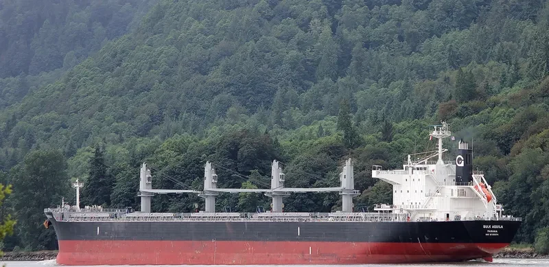 BULK AQUILA Bulk Carrier IMO 9725574