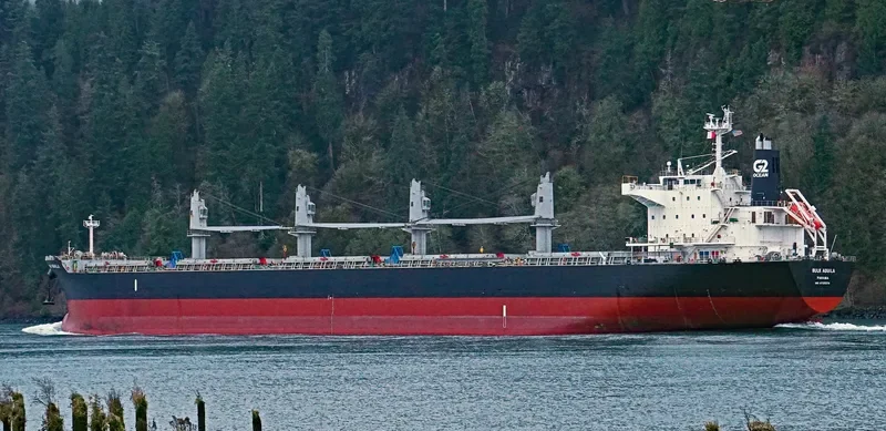 BULK AQUILA Bulk Carrier IMO 9725574 photo 3