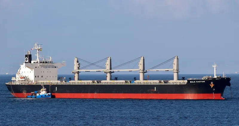 BULK CASTOR Bulk Carrier IMO 9725586