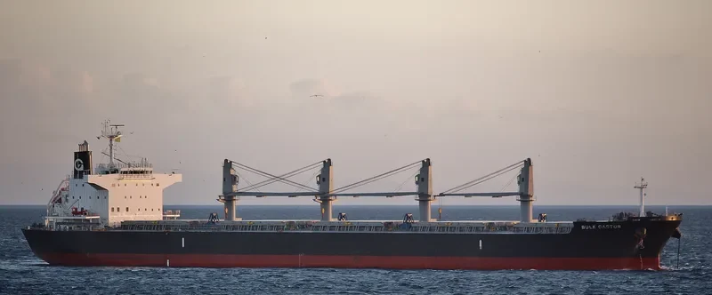 BULK CASTOR Bulk Carrier IMO 9725586 photo 2
