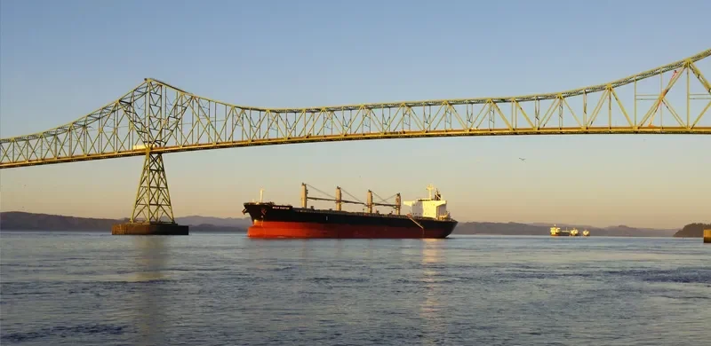 BULK CASTOR Bulk Carrier IMO 9725586 photo 3