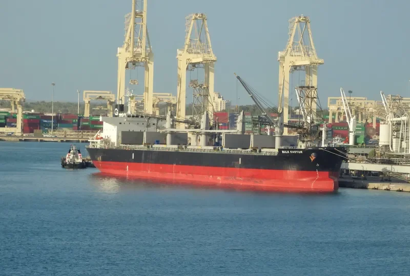 BULK CASTOR Bulk Carrier IMO 9725586 photo 4