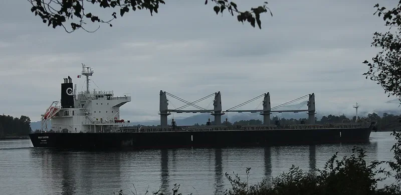 BULK CASTOR Bulk Carrier IMO 9725586 photo 6