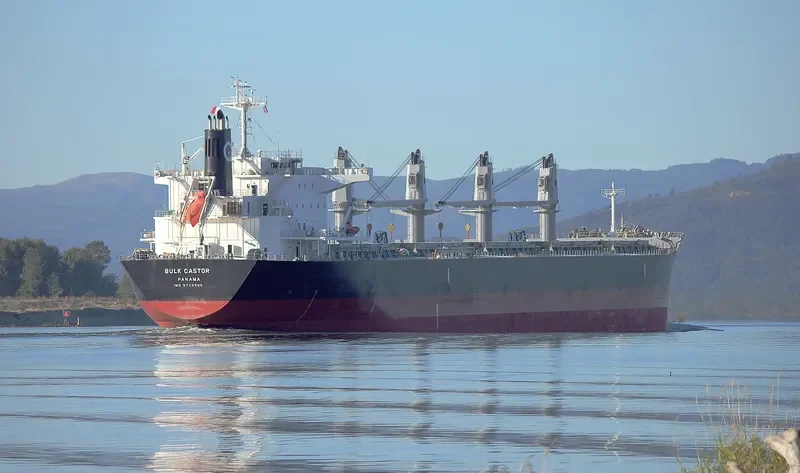 BULK CASTOR Bulk Carrier IMO 9725586 photo 7